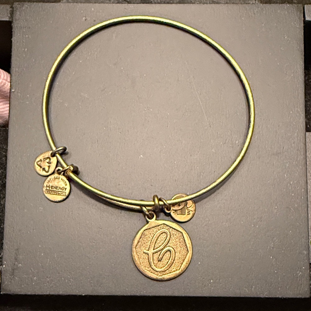 Alex and Ani Gold C Charm Bracelet